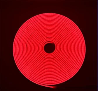 NEON LED 5MT 120LEDS/MT 12V IP65 VARI COLORI