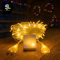 CATENE LUMINOSE NATALIZIE - LUCI DI NATALE