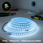 Strip LED SMD 12V 240 LED/mt bianco freddo 6000K installata su banco, illuminazione commerciale
