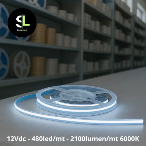 Striscia LED COB 12V bianco freddo 6000K accesa su banco in magazzino e logo StripLed.it”